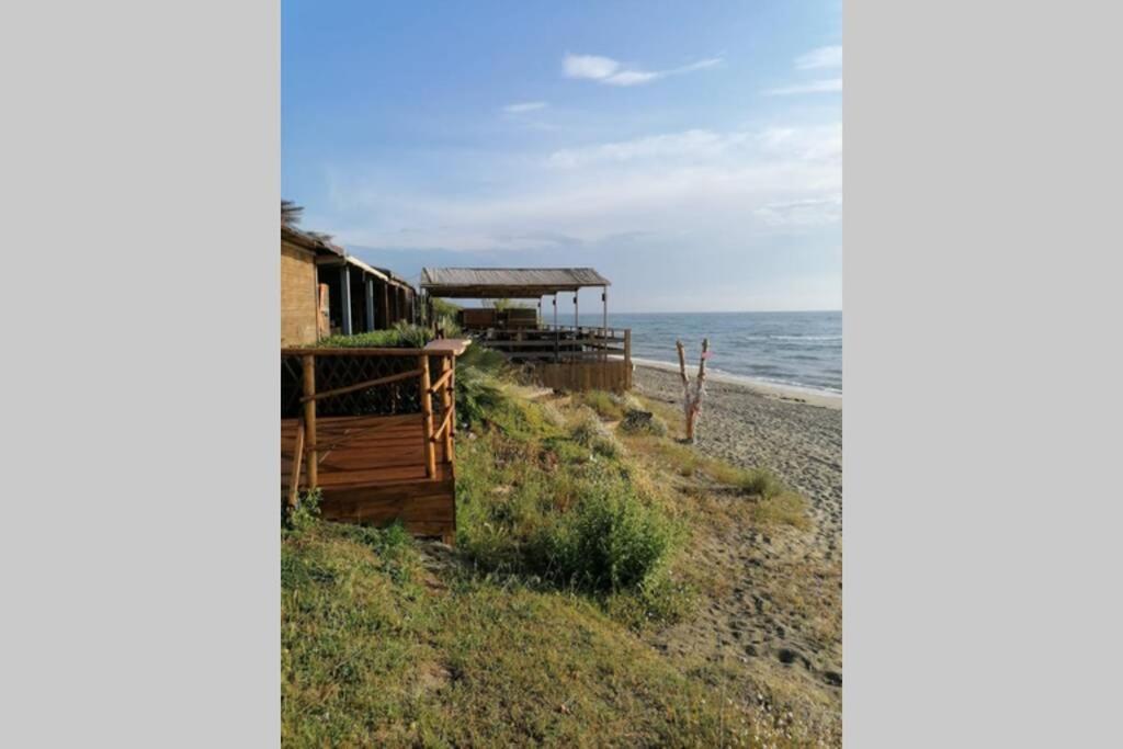 Studio 4 personnes bord de mer avec piscine wifi Cervione Esterno foto