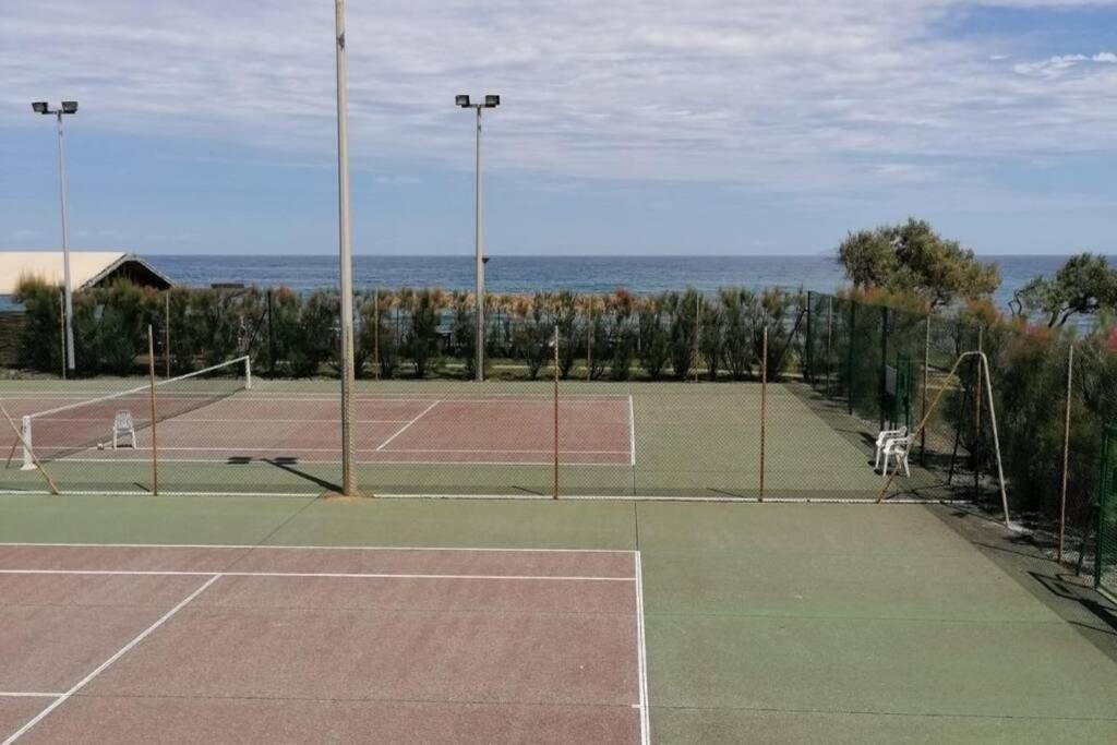 Studio 4 personnes bord de mer avec piscine wifi Cervione Esterno foto