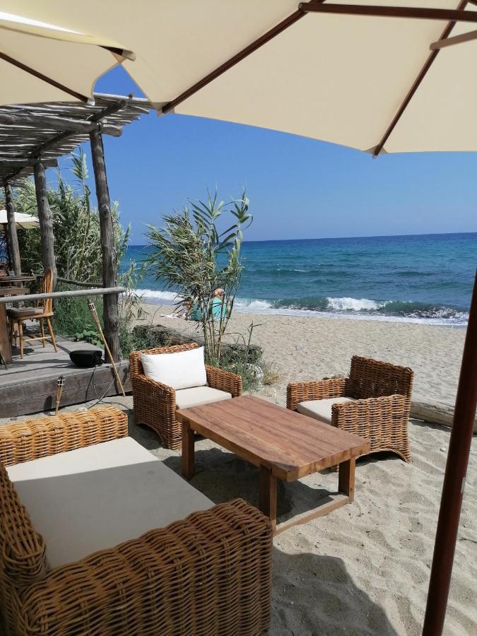 Studio 4 personnes bord de mer avec piscine wifi Cervione Esterno foto