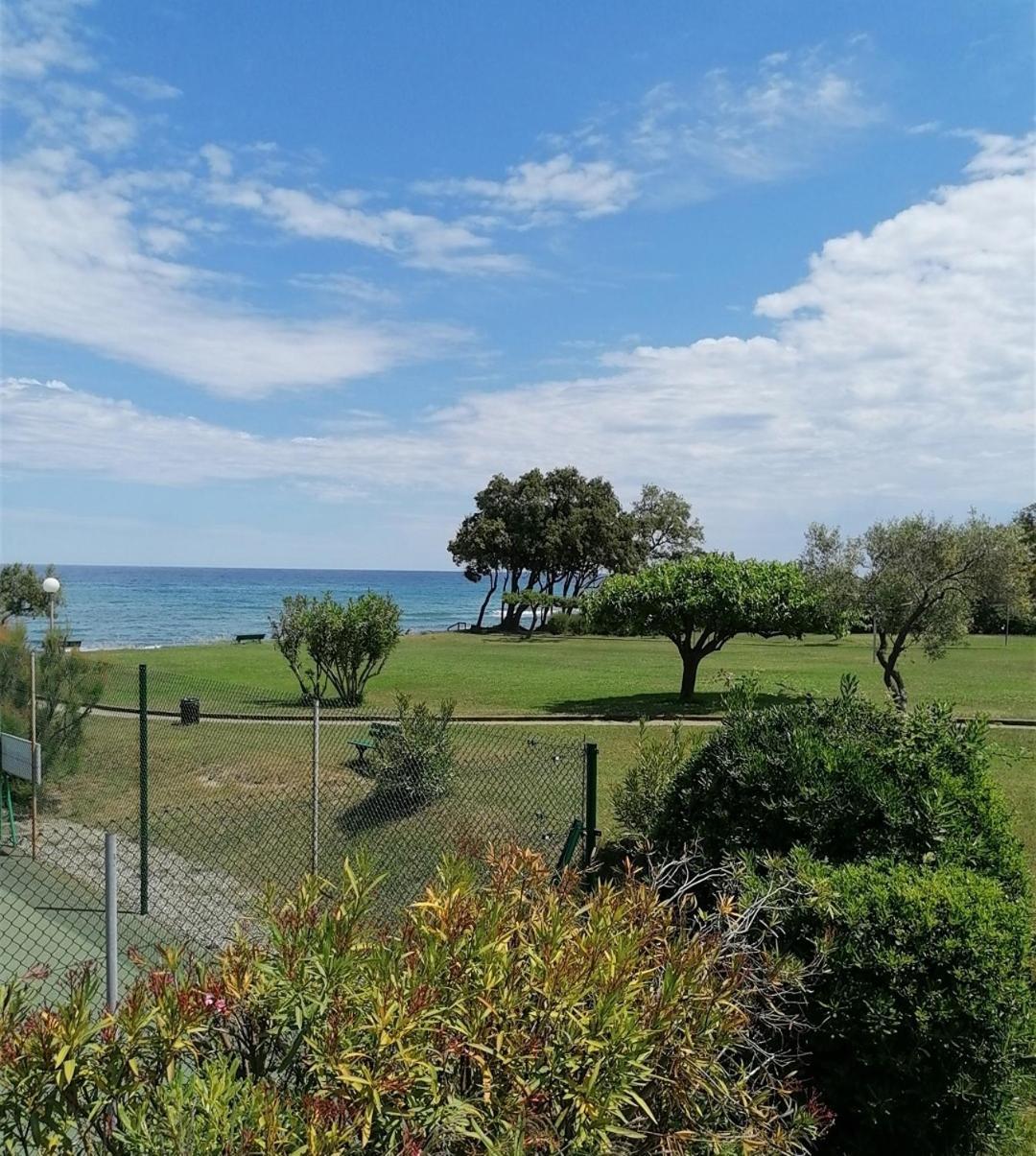 Studio 4 personnes bord de mer avec piscine wifi Cervione Esterno foto